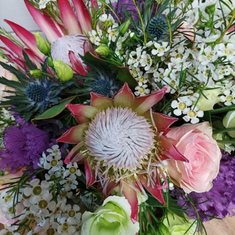 Kytice Elegantní protea