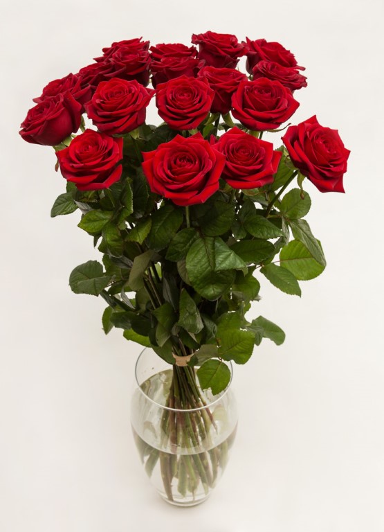 IMAGE: 